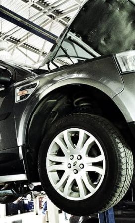 СТО Freelander